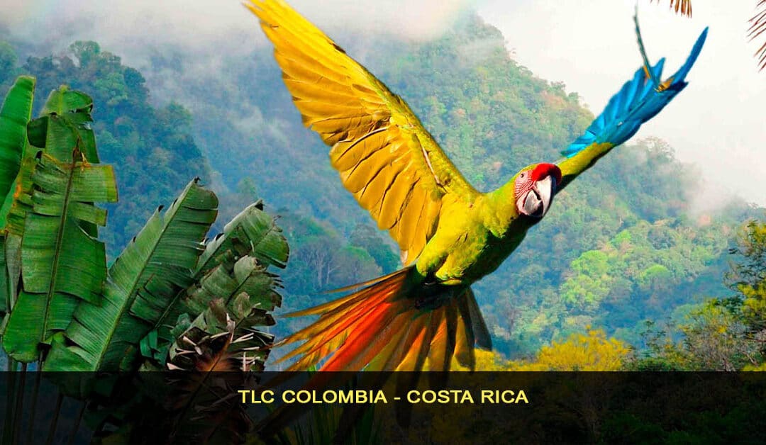 TLC Colombia – Costa rica