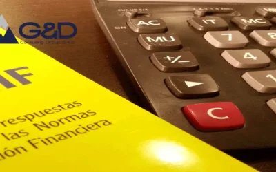 ¿Qué implica la recolocación en contratos de leasing? Superfinanciera Concepto No. 2024070201-003